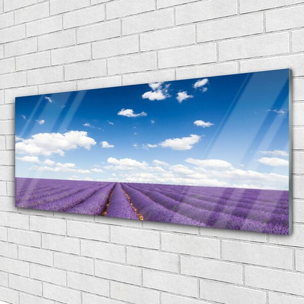 Tablou pe sticla Flori Meadow Natura Purple