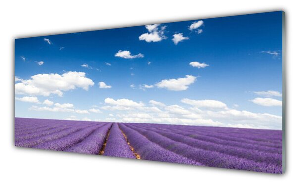 Tablou pe sticla Flori Meadow Natura Purple