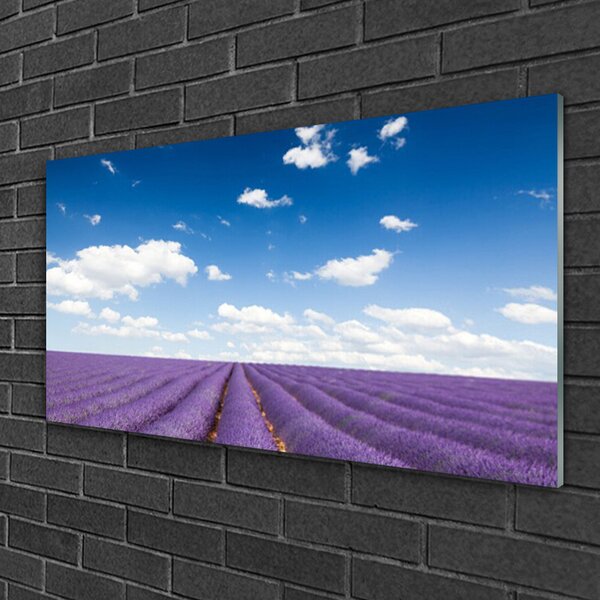 Tablou pe sticla Flori Meadow Natura Purple