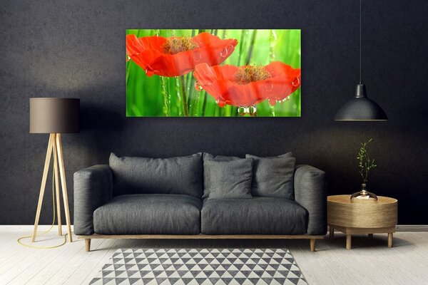 Tablou pe sticla Maci Floral Roșu Verde