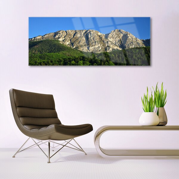 Tablou pe sticla Mountain Natural Pădurea Verde Gri