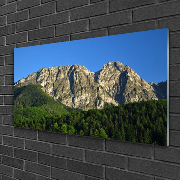 Tablou pe sticla Mountain Natural Pădurea Verde Gri