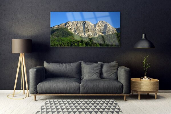 Tablou pe sticla Mountain Natural Pădurea Verde Gri
