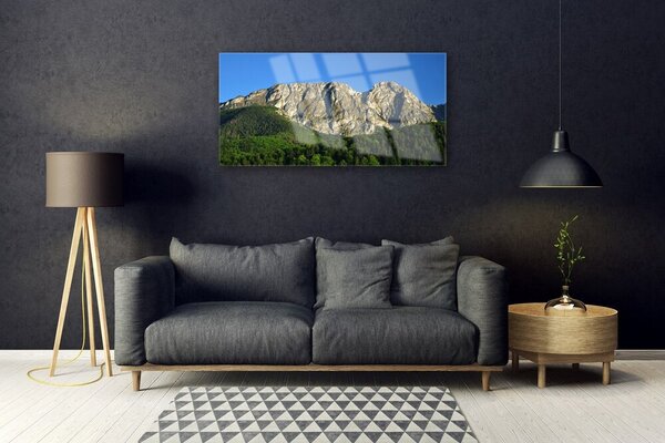 Tablou pe sticla Mountain Natural Pădurea Verde Gri