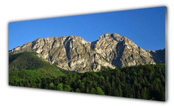 Panou sticla bucatarie Mountain Natural Pădurea Verde Gri
