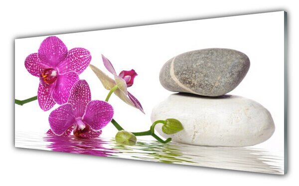 Tablou pe sticla Pietrele de flori Arta Roz Alb Gri
