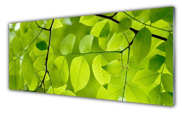 Tablou pe sticla Frunze Natura verde