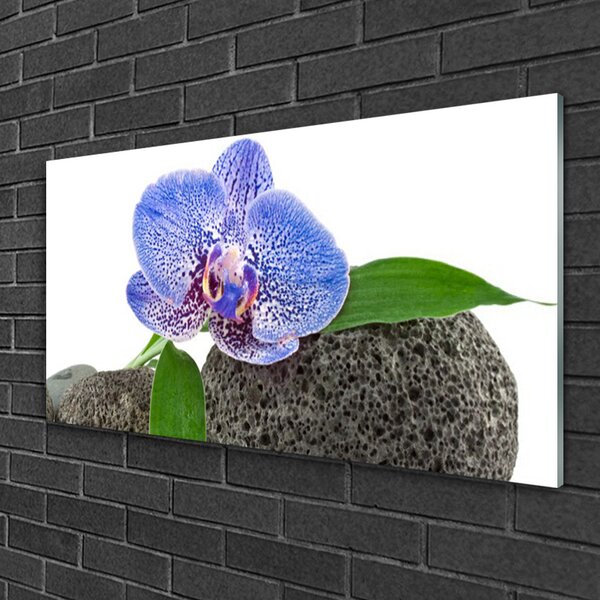 Tablouri acrilice Flower Floral Purple Verde