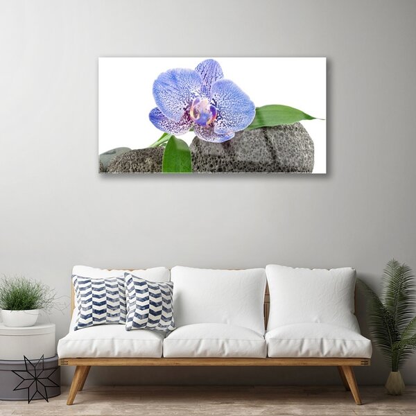Tablouri acrilice Flower Floral Purple Verde