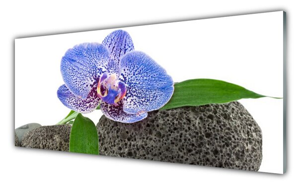 Tablouri acrilice Flower Floral Purple Verde