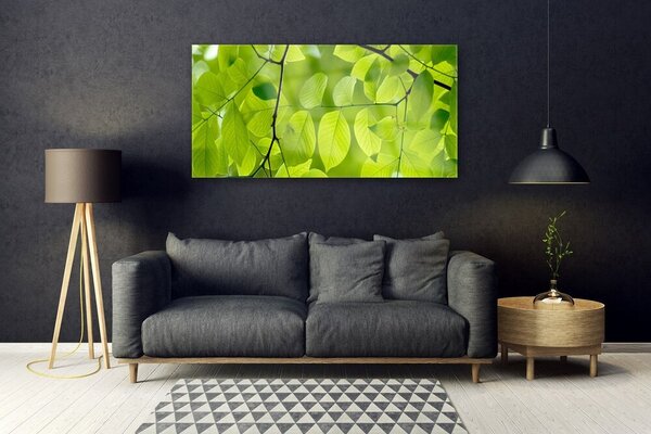 Tablou pe sticla Frunze Natura verde