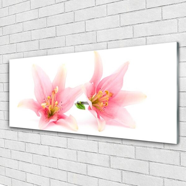 Tablou pe sticla Flori roz Floral