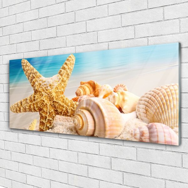 Tablou pe sticla Scoici Starfish Art alb galben