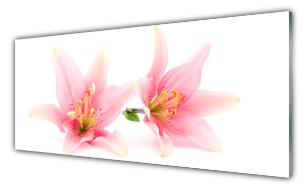 Tablou pe sticla Flori roz Floral