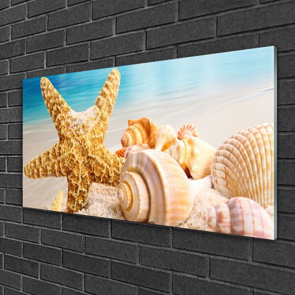 Tablou pe sticla Scoici Starfish Art alb galben