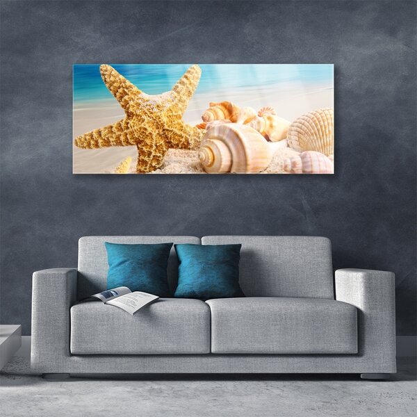 Tablou pe sticla Scoici Starfish Art alb galben