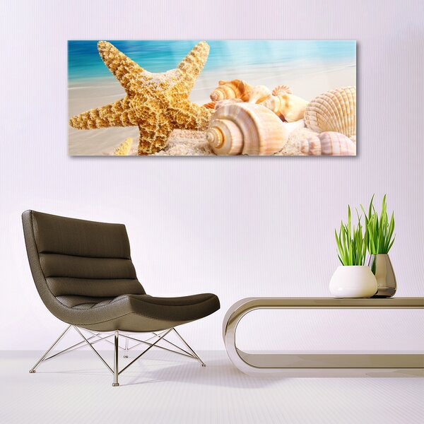 Tablou pe sticla Scoici Starfish Art alb galben