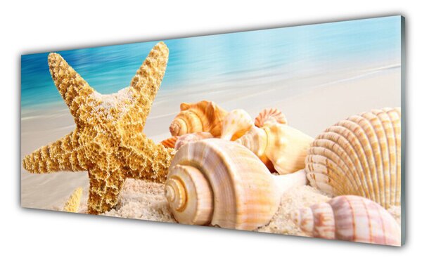 Tablou pe sticla Scoici Starfish Art alb galben