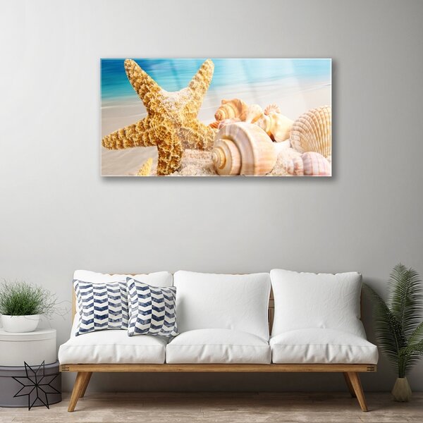 Tablou pe sticla Scoici Starfish Art alb galben