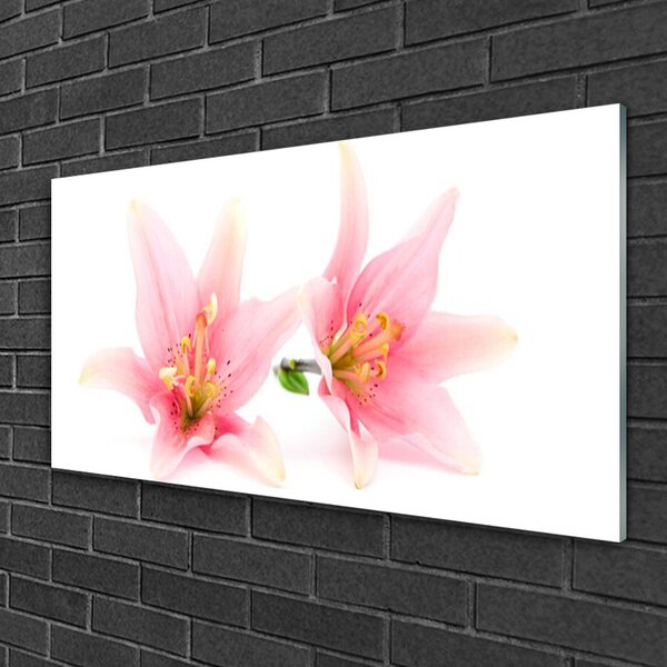 Tablou pe sticla Flori roz Floral