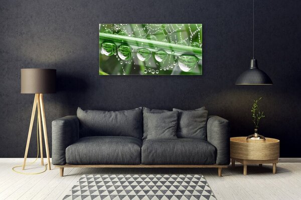 Tablou pe sticla Spider Web Dewdrops Floral alb