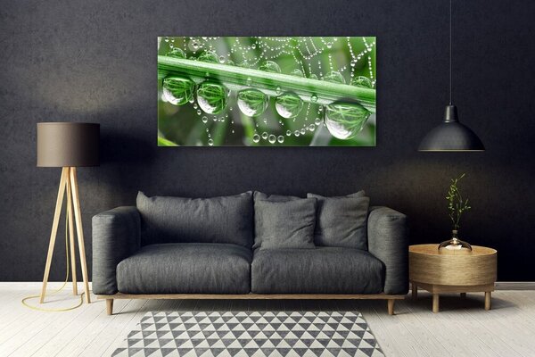 Tablou pe sticla Spider Web Dewdrops Floral alb