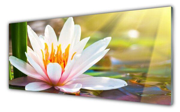 Panou sticla bucatarie Flori Floral Alb Roz