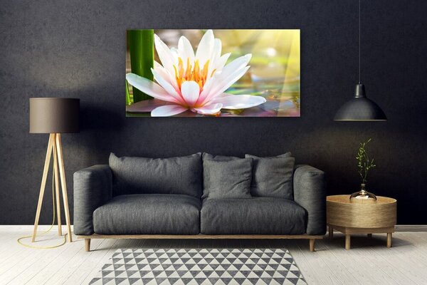 Tablou pe sticla Flori Floral Alb Roz