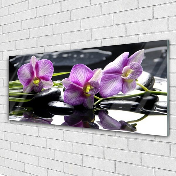 Tablou pe sticla Pietrele florale flori roz negru