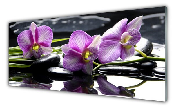 Tablou pe sticla Pietrele florale flori roz negru