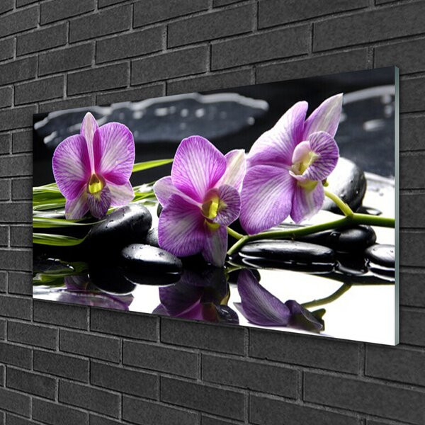 Tablou pe sticla Pietrele florale flori roz negru