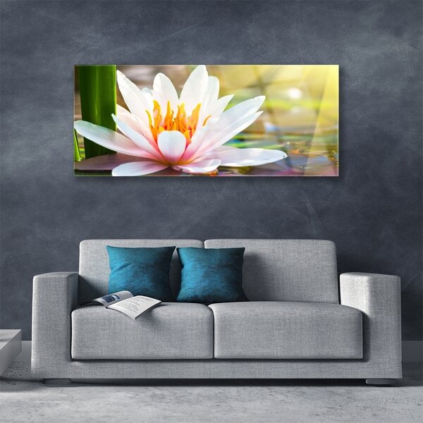 Tablou pe sticla Flori Floral Alb Roz
