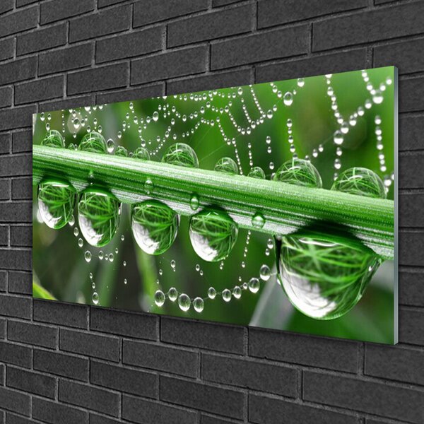 Tablou pe sticla Spider Web Dewdrops Floral alb