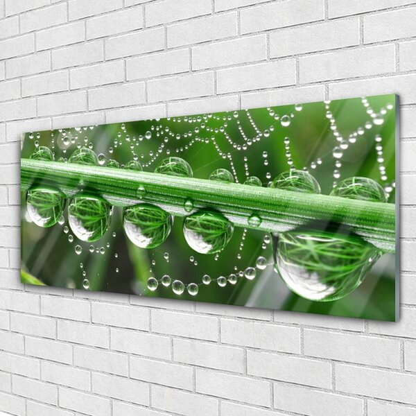Tablou pe sticla Spider Web Dewdrops Floral alb