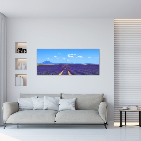 Tablou - Câmp de lavandă (120x50 cm)