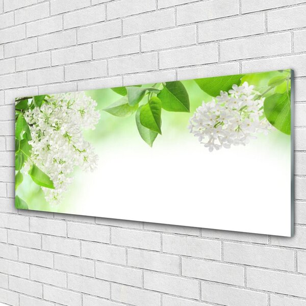 Tablou pe sticla Petale Floral Alb Verde