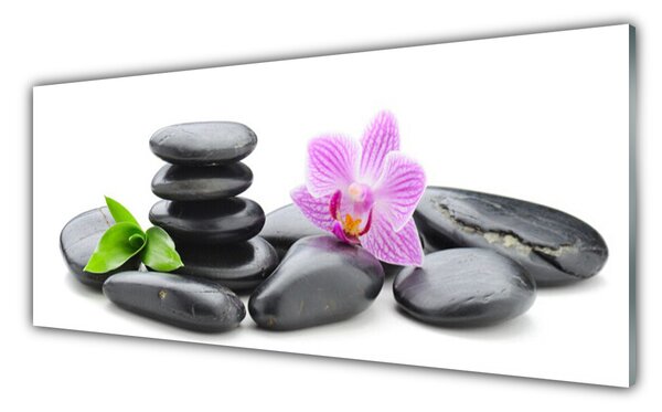 Tablou pe sticla Pietrele de flori Arta roz negru