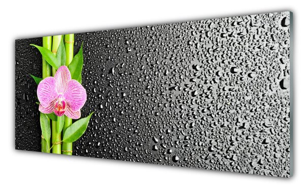 Tablouri acrilice Bamboo peduncul Floral Roz Verde