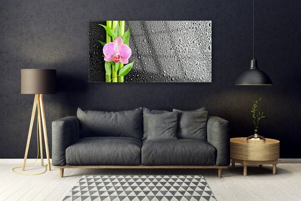 Tablouri acrilice Bamboo peduncul Floral Roz Verde