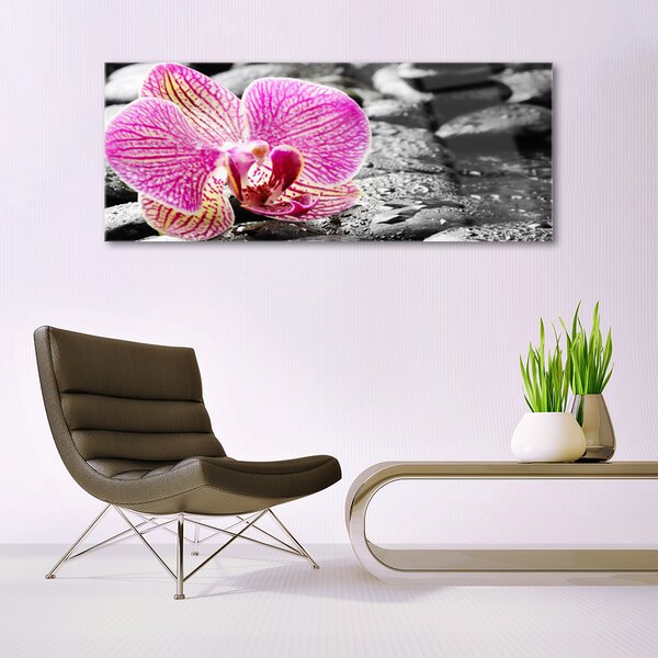 Tablouri acrilice Pietrele florale flori roz negru