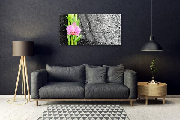 Tablouri acrilice Bamboo peduncul Floral Roz Verde