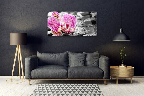 Tablouri acrilice Pietrele florale flori roz negru