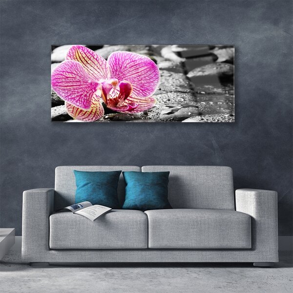 Tablouri acrilice Pietrele florale flori roz negru