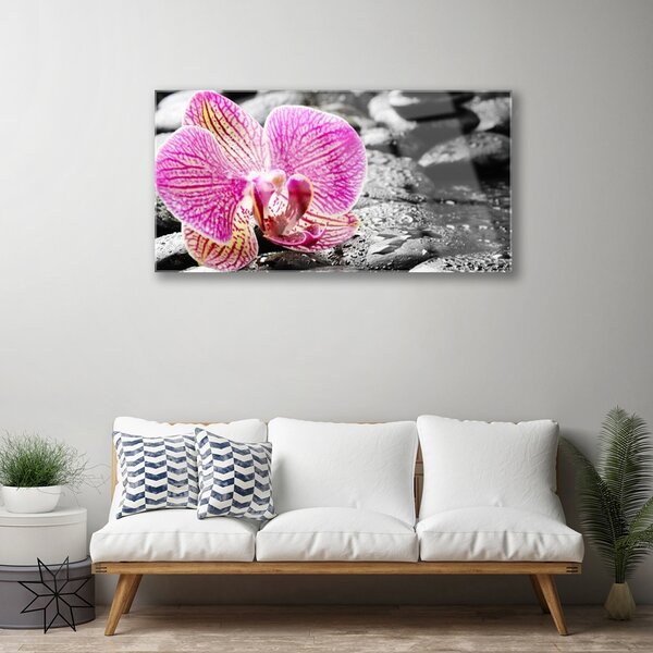 Tablouri acrilice Pietrele florale flori roz negru