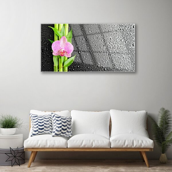 Tablouri acrilice Bamboo peduncul Floral Roz Verde