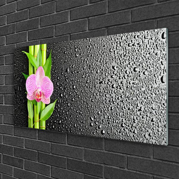 Tablouri acrilice Bamboo peduncul Floral Roz Verde