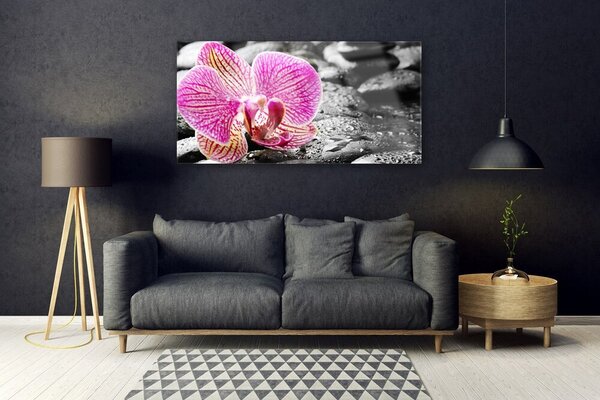 Tablouri acrilice Pietrele florale flori roz negru