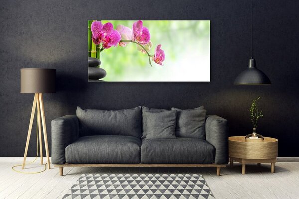 Tablou pe sticla Pietrele florale flori Roșu Negru