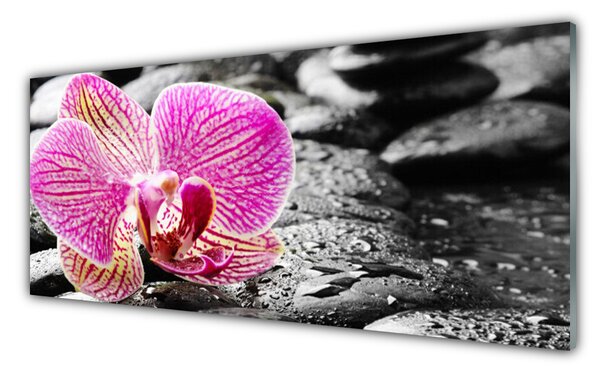 Tablouri acrilice Pietrele florale flori roz negru