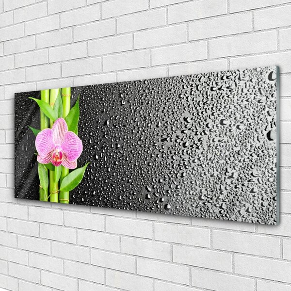Tablouri acrilice Bamboo peduncul Floral Roz Verde